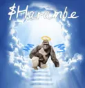 HarambePass72