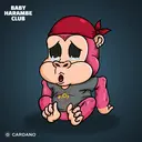 BabyHaramb...