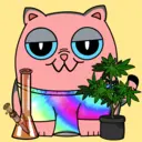 CannaCat41...