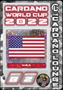 CardanoWorldCup199