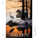 Walden638