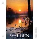 Walden412