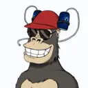 ChilledKong8193