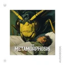 MetamorphAudio379