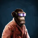 adapeDiegoEvans