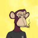 CardanoBoredApe533