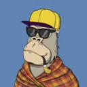 ChilledKong4336