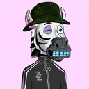 ZESTYZEBRA5312