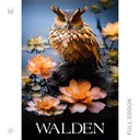 Walden567