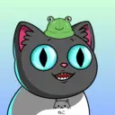 crycat1805