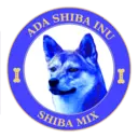 Shiba Mix #94