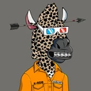 ZESTYZEBRA5002