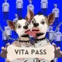 VITAPASS64