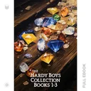 HardyBoys1...