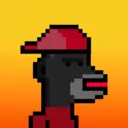 MonkeyWifhat1463
