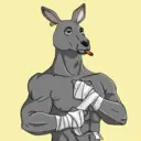 kangaroofightsociety#2105