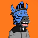 ZESTYZEBRA1628