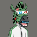 ZESTYZEBRA4952