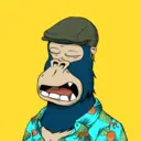 ChilledKong5144