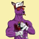 kangaroofightsociety#4484