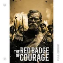 RedBadgeOfCourage028