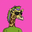 GenuineGiraffe_0542