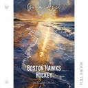 BostonHawksHockey379