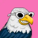 Hawk #0117