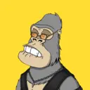ChilledKong8527
