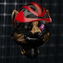 Raccoon #181