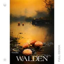 Walden431