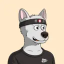 Brave Dog #2527