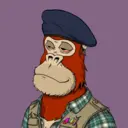 ChilledKong0800