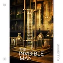 InvisibleMan625