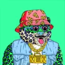 Tigerz4943