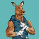 kangaroofightsociety#2238