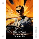 HardyBoys1...