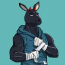 kangaroofightsociety#4689