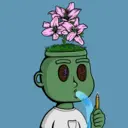 Flowerboy244