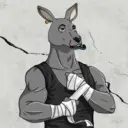 kangaroofightsociety#2621