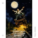 HardyBoys1...