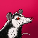 Possum #447