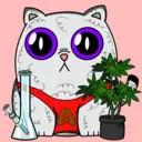 CannaCat236