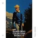 HardyBoys1...