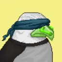 Hawk #0164