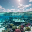 Great Barrier Reef #1146