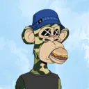 CardanoBoredApe489