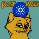 cetpass1