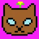 name5233