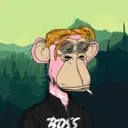 CardanoBoredApe2257